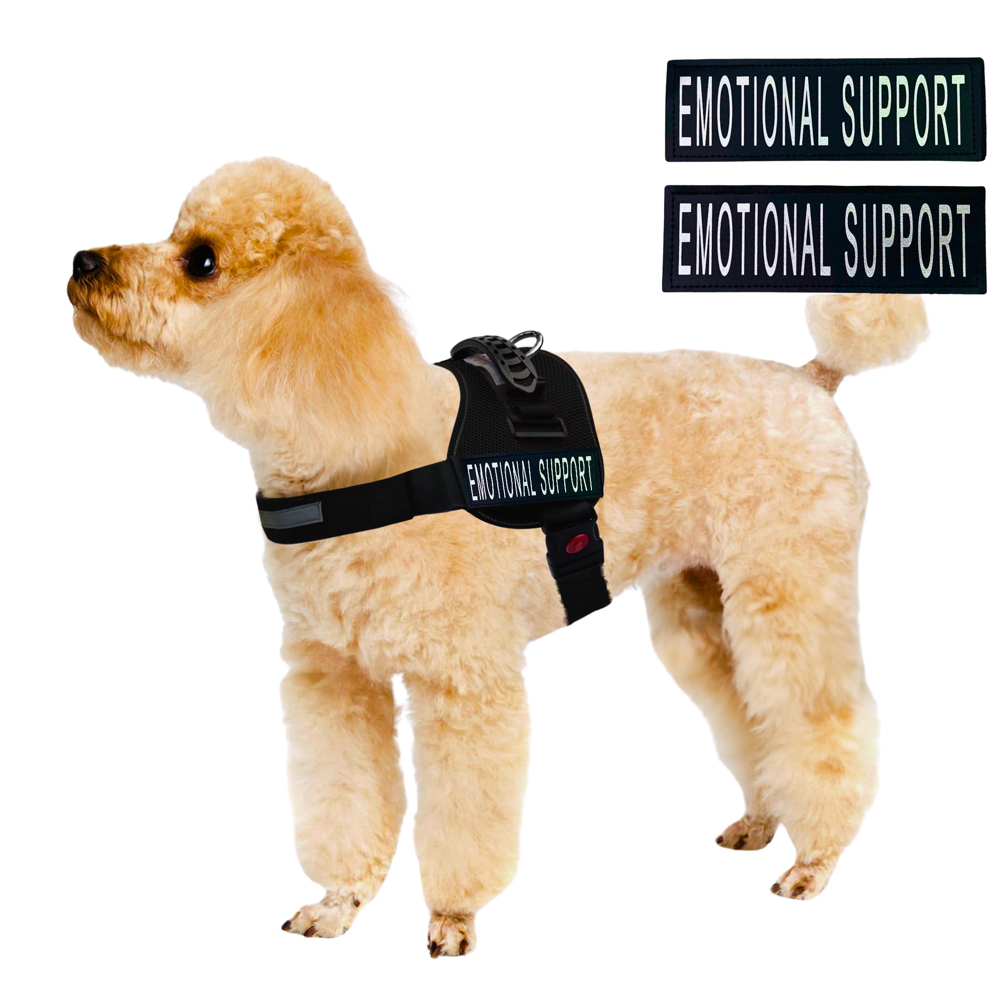 Albcorp Emotional Support Dog Vest - Reflective Harness - Woven Nylon, Comfy Mesh Padding - Sizes From Xxs To Xl - Emotional Sup